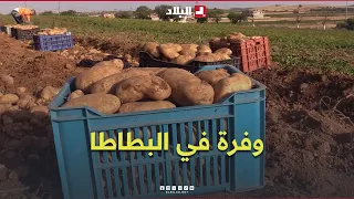 "God bless the bountiful harvest": Potato production boosts supply in the national market #Watch