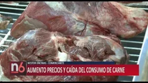 AUMENTO PRECIOS Y CAÍDA DEL CONSUMO DE CARNE