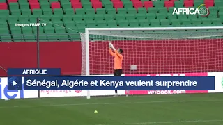 Afrique - CAN Féminine 2026 : Sénégal Algérie et Kenya veulent surprendre
