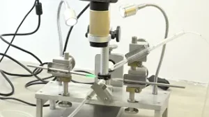 UJAT; obras, equipamiento y modernización institucional 2025