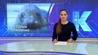 Новости Калининграда — итоги дня, 19 июня 2026 каскад тв