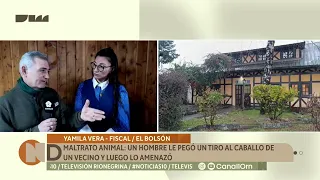 Animal abuse: A man shot his neighbor's horse and then threatened him