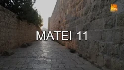 Bible Reading: Matthew 11