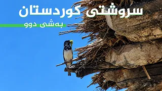 سروشتی کوردستان - بەشی (2)