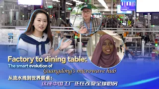 Factory to dining table: Smart evolution of Guangdong's microwave hub
