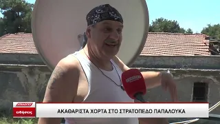Ευτύχιος Σαρόγλου (πρώην φιδοκτόνος): Φίδια και αρουραίοι Νο2 ελλοχεύουν στο στρατόπεδο Παπαλουκά