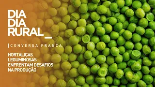 Hortaliças leguminosas enfrentam desafios na produção