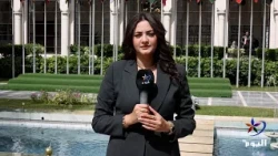 الجامعة العربية تبحث توفير حماية دولية للشعب الفلسطيني
