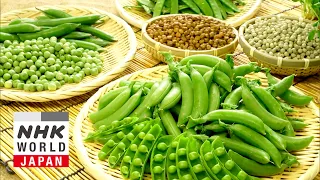 Peas - Trails to Oishii Tokyo