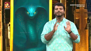Vyasa Explains the Tale of Nala and Karkotaka in Kathayamma | Sandhyadeepam | Epi 355 Highlights