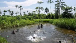DRC: Maurice Pellosh's clients rediscover their portraits in documentary