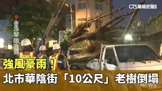 Strong Winds and Heavy Rain! 10-Meter-Tall Old Banyan Tree Collapses on Huayin Street, Taipei Cit...