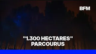 L'incendie dans les Landes a parcouru 1.300 hectares, son "intensité est forte mais diminue"