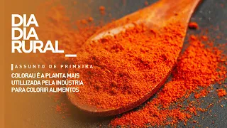 Annatto is the plant most used by the industry to color food
