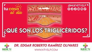 ¿Qué son los triglicéridos?