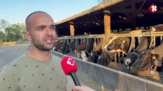 Farmer Hans from Borkel fears for the end of his business due to the new nitrogen package