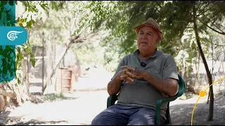 Hussein Hamzeh: A Sanctuary for Animals Left Behind by Displacement in Southern Lebanon