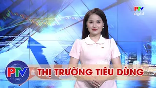 Consumer Market Report 08/26/2026 | Directing Credit to Small and Medium-Sized Enterprises