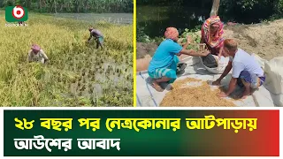 ২৮ বছর পর নেত্রকোনার আটপাড়ায় আউশের আবাদ | Natrokona Atpara | Agriculture | Boishakhi Tv News