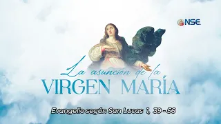 Gospel 📖 commentary August 15🕊️