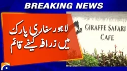 Lahore Safari Park Introduces Pakistan’s First Giraffe Café | Geo News