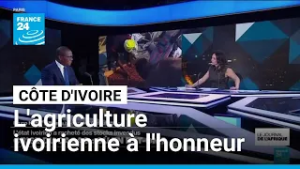 La Côte d'Ivoire à l'honneur au Salon de l'Agriculture • FRANCE 24