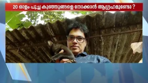 പൂച്ചകളെ നോക്കാൻ താത്പര്യമുണ്ടോ? ഈ ഹെൽത്ത് ഇൻസ്‌പെക്ടറെ സമീപിച്ചോളൂ... | Cat | Health Inspector