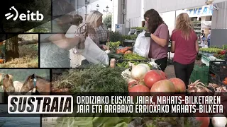 SUSTRAIA: Ordiziako Euskal Jaiak, Mahats-bilketaren jaia eta Arabako Errioxako mahats-bilketa