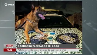 Drug-sniffing dog in action. Police apprehend minor in drug war zone | #NovaGeral