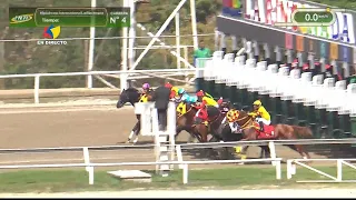 4ª. carrera | PREPOSITION (USA) | Hipódromo La Rinconada | Reunión 06 | 2026
