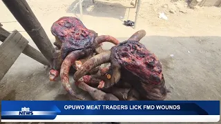 OPUWO MEAT TRADERS SLOWLY REBUILD AFTER FMD LOSSES - nbc