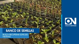 Seed bank seeks to recover native species in Santander