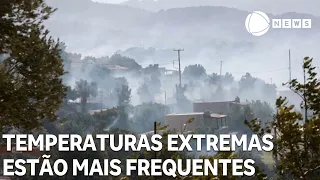 Extreme temperatures are becoming more frequent and longer-lasting