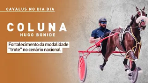 Cavalus no Dia Dia: Fortalecimento da modalidade "trote" no cenário nacional