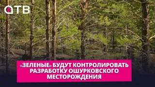 Реликтового леса нет. «Зеленые» будут контролировать разработку Ошурковского месторождения