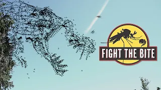 Fight the Bite - Help Reduce the Mosquito Population
