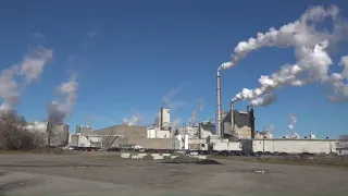 Woodland Pulp contests nearly $800K in OSHA penalties after 2 deaths