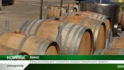 ВИНО: Германия очаква ръст в реколтата, въпреки климатичните промени