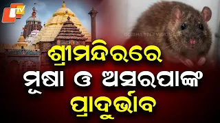 Mouse and Cockroach Menace in Srimandir’s Sanctum Sanctorum