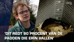 Paddentrappen helpen padden de put uit