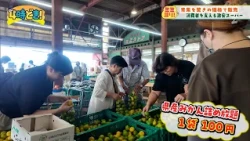 青果を驚きの価格で販売 消費者を支える激安スーパー！「じゃんぼ児玉」（三股町）2026年10月2日（金）「4時どき！」