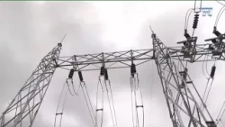 Private electricity generation: the key to lowering costs during the dry season?