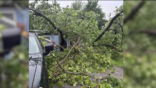 Indiana dealership worker pinned after tree crashes through building during storm