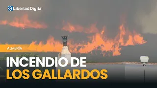LOS GALLARDOS WILDFIRE | A Mojácar pavilion rallies to support those affected
