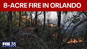 Orlando Fire Department fights 8-acre fire