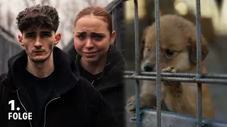 Illegal Killing Station | The Dog Mafia - Episode 1 | ProSieben