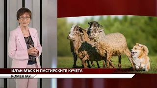 Агрокоментар: Илън Мъск и пастирските кучета