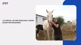 «AT-PROLİN» BEYGİR FERMASINA YARDIM LÄÄZIM HEM ENİLENMÄK