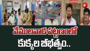 ? SHOCKING CHAOS IN RAJANNA SIRCILLA! Dogs Attack Citizens in Vemulawada ?⚡ | DOGS || @6TV