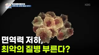 [사이언스 LAB : 건강원] 면역력 저하, 최악의 질병 부른다? [생방송 굿모닝 대한민국] | KBS 260918 방송